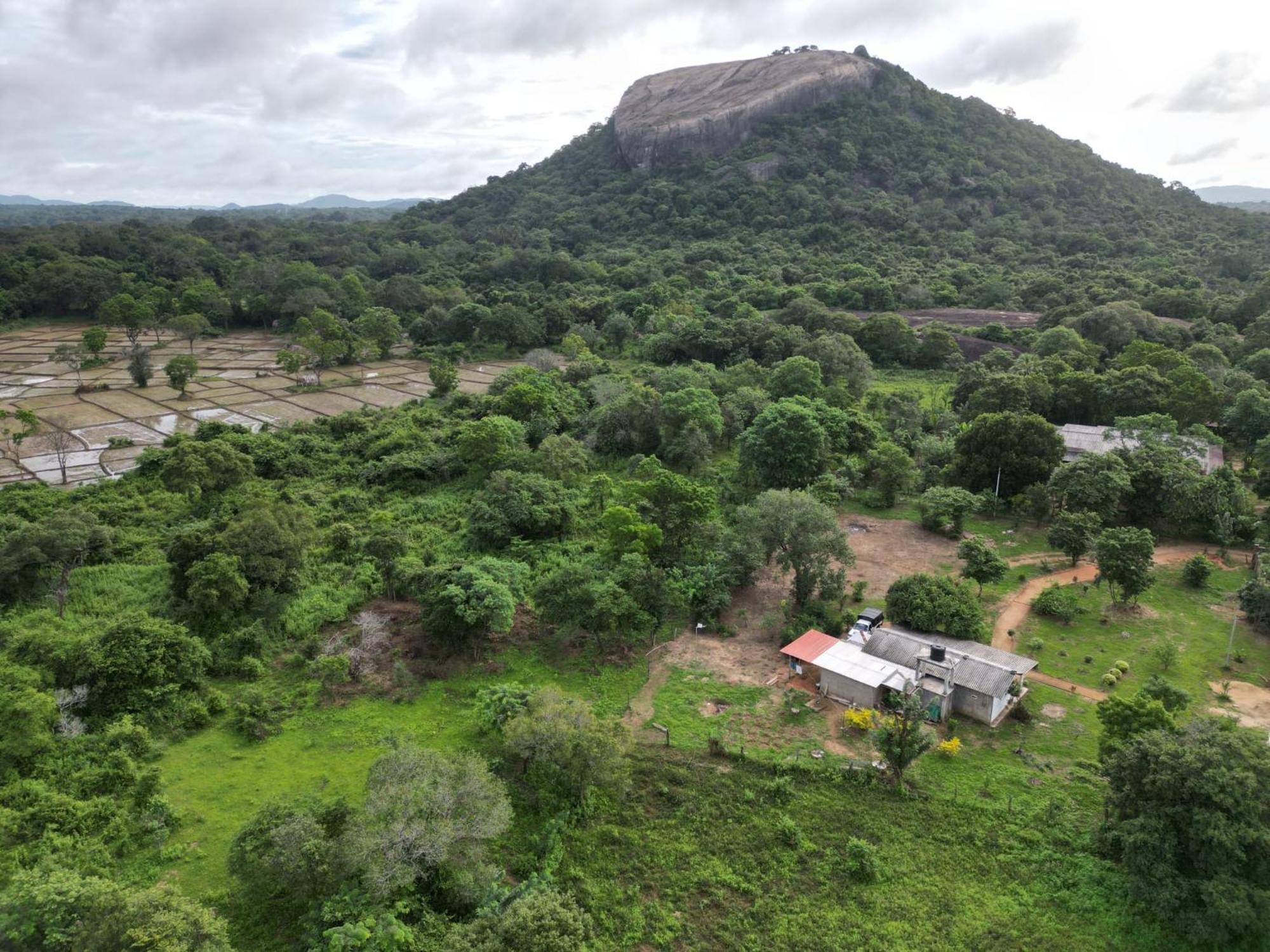 Hotel Sigiri Arana Sigiriya Exterior foto